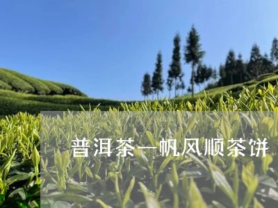 普洱茶一帆风顺茶饼/2023120581814