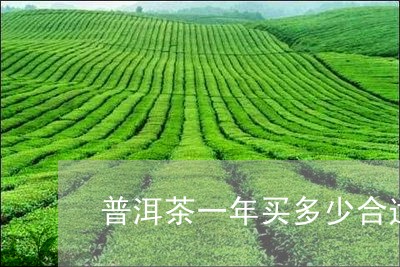 普洱茶一年买多少合适/2023092994724