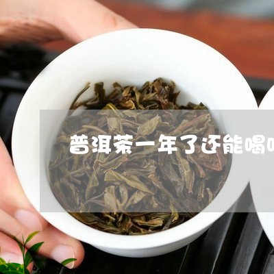 普洱茶一年了还能喝吗/2023092629393