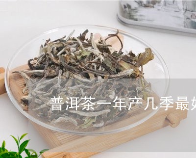 普洱茶一年产几季最好/2023120669262