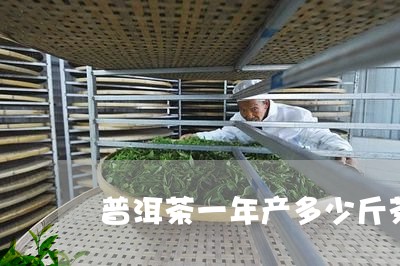 普洱茶一年产多少斤茶/2023062934715