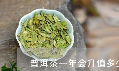 普洱茶一年会升值多少钱/2023120772825