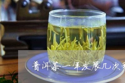 普洱茶一年发展几次种茶/2023121667260