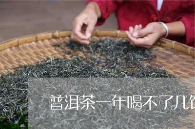 普洱茶一年喝不了几饼/2023072148059