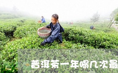 普洱茶一年喝几次最好/2023092755825