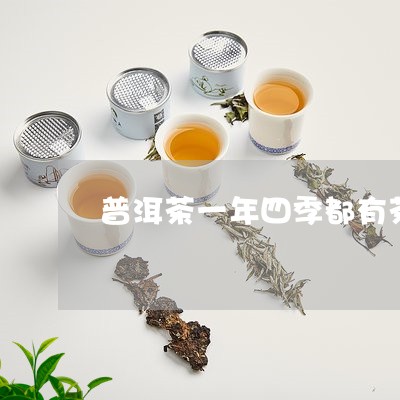 普洱茶一年四季都有茶吗/2023120728285