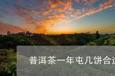 普洱茶一年屯几饼合适/2023092613737