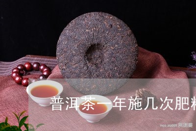 普洱茶一年施几次肥料/2023092819471