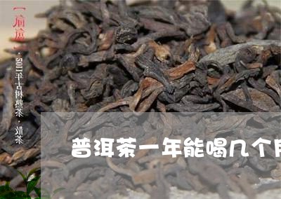 普洱茶一年能喝几个月/2023063059461