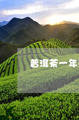 普洱茶一年采多少次好喝/2023082532706