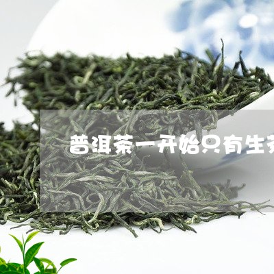 普洱茶一开始只有生茶/2023062276159