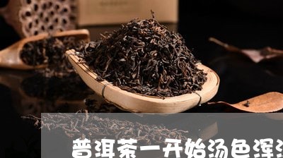 普洱茶一开始汤色浑浊/2023120678504