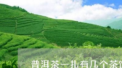 普洱茶一扎有几个茶饼/2023062292737