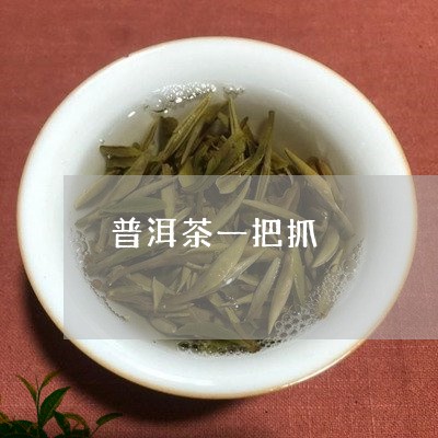 普洱茶一把抓/2023090619402