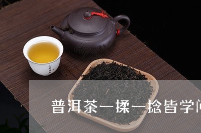 普洱茶一揉一捻皆学问/2023062030481