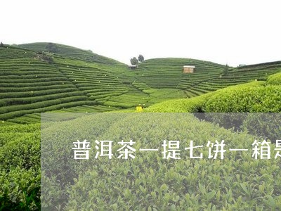 普洱茶一提七饼一箱是多少/2023051126049