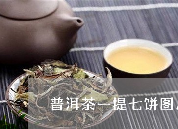 普洱茶一提七饼图片/2023120500582