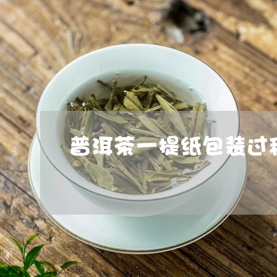 普洱茶一提纸包装过程/2023092652705