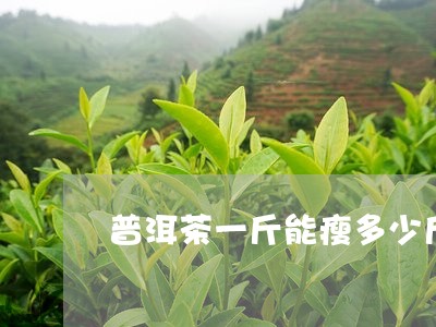 普洱茶一斤能瘦多少斤/2023092616957