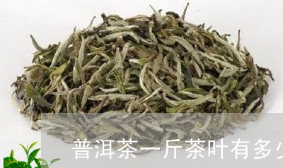 普洱茶一斤茶叶有多少片/2023110329379