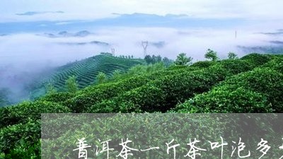 普洱茶一斤茶叶泡多少/2023093035069