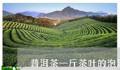 普洱茶一斤茶叶的泡法/2023092669372