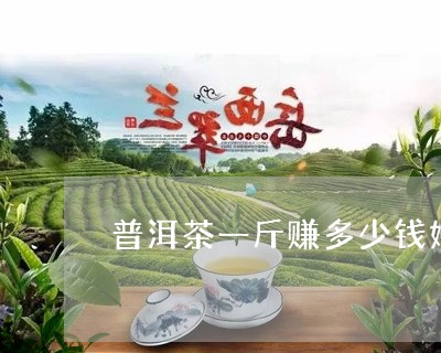 普洱茶一斤赚多少钱好/2023061556169