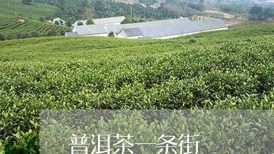 普洱茶一条街/2023090657272