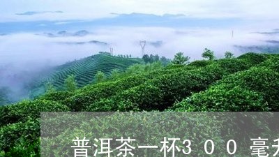 普洱茶一杯300毫升/2023092603028