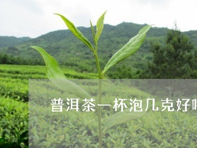 普洱茶一杯泡几克好喝/2023120720425