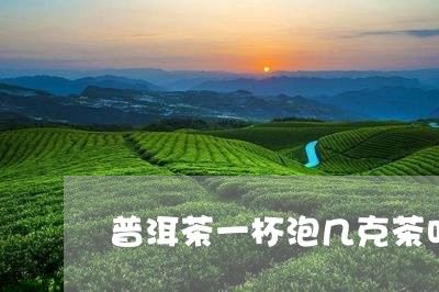 普洱茶一杯泡几克茶叶/2023120624848