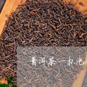 普洱茶一杯泡几克茶水/2023120672824