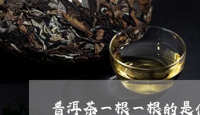 普洱茶一根一根的是什么茶/2023110238505