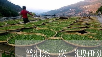 普洱茶一次一泡好吗几克/2023050452504