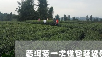 普洱茶一次性包装袋图片/2023050517471