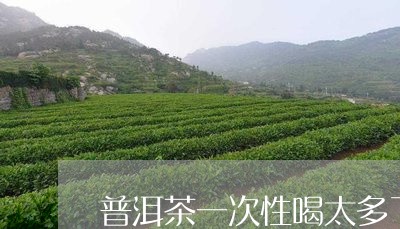 普洱茶一次性喝太多了/2023061463806