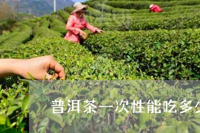 普洱茶一次性能吃多少粒/2023050518271