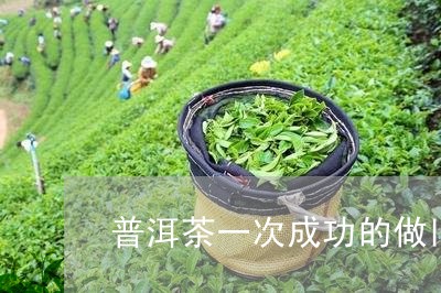 普洱茶一次成功的做旧/2023092737581