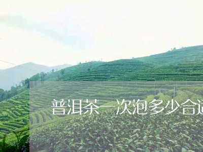 普洱茶一次泡多少合适/2023092817281