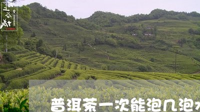 普洱茶一次能泡几泡水/2023110656161