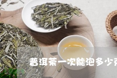 普洱茶一次能泡多少克/2023092668513