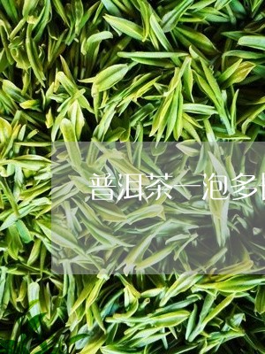 普洱茶一泡多长时间/2023071187381