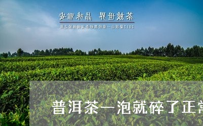 普洱茶一泡就碎了正常吗/2023110148402