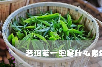 普洱茶一泡是什么意思/2023092634037