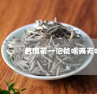 普洱茶一泡能喝两天吗/2023092570683