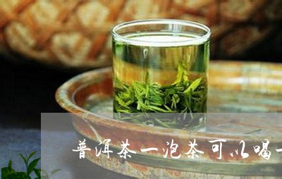 普洱茶一泡茶可以喝一天吗/2024010403816