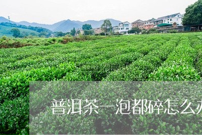 普洱茶一泡都碎怎么办/2023061573925