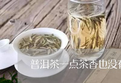 普洱茶一点茶香也没有/2023120667059