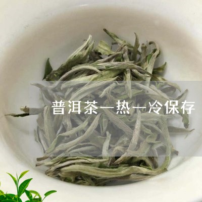 普洱茶一热一冷保存/2023120501716