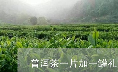 普洱茶一片加一罐礼盒/2023061420404